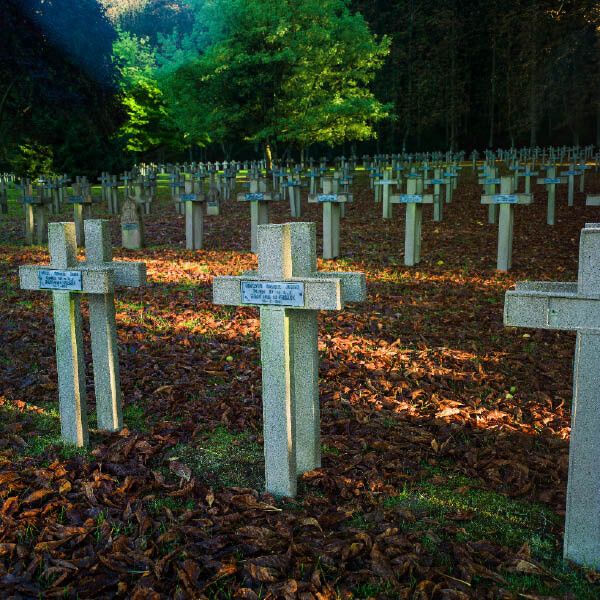 Jean-Pierre Rioux: “The Centenary can rehabilitate the meaning of 1914-1918”