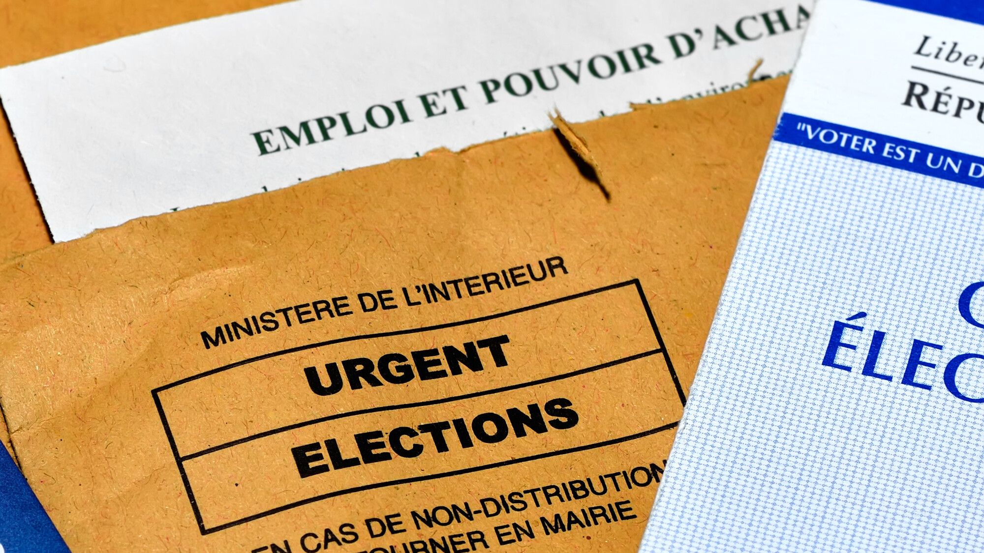 the flagship measures of the different political camps scrutinized