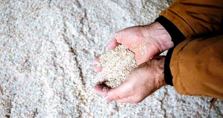 in Morbihan, a couple of farmers are bringing this white gold back to life with many uses