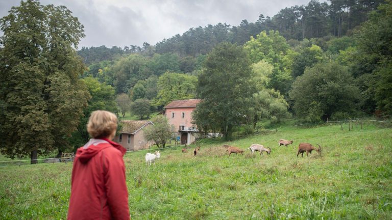 “In Secours Catholique, the link between poverty and climate has become an engine of collective engagement”