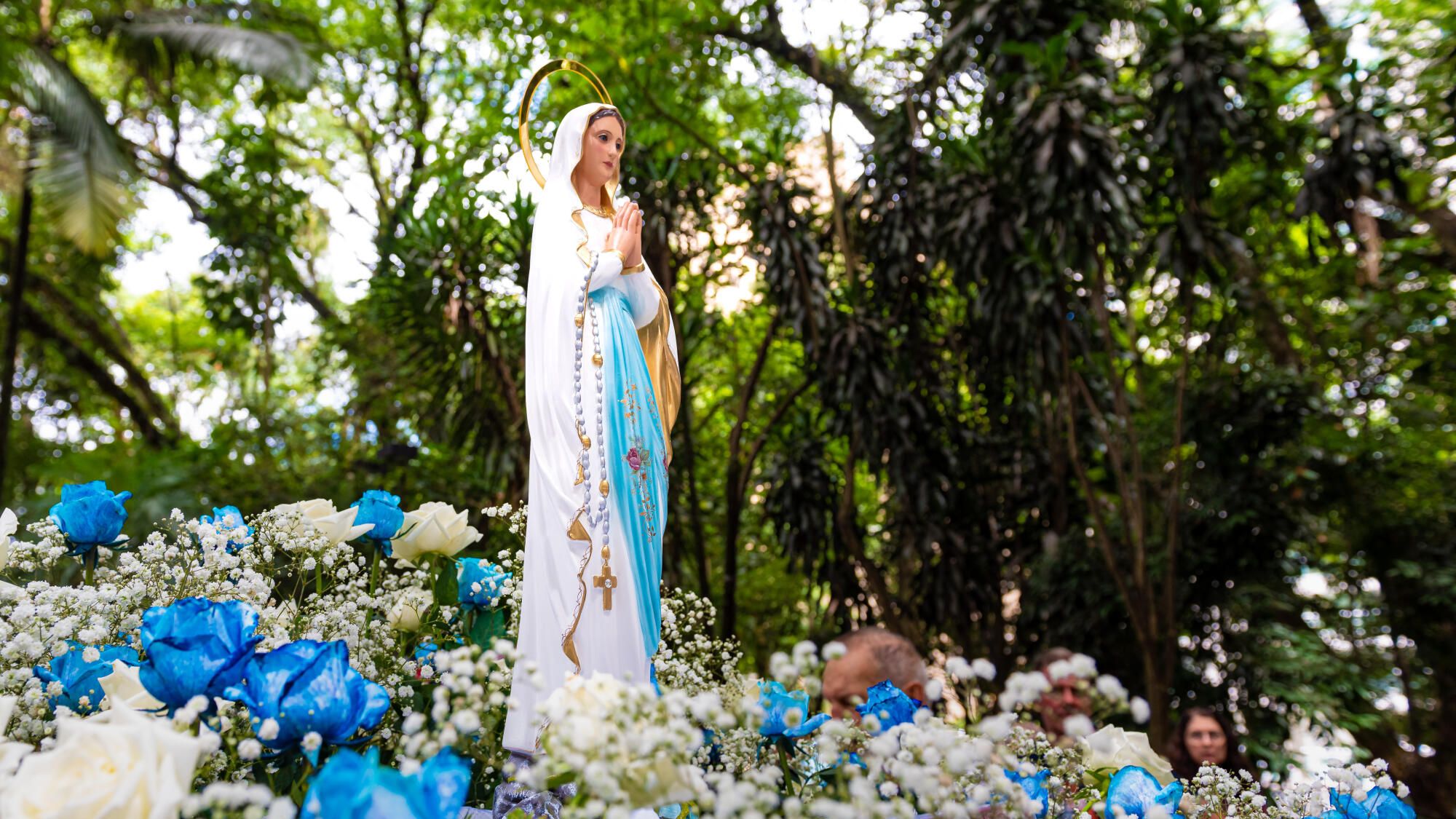 Pilgrimage of Lourdes 2025: Follow the on -board book of our Assumptionist journalist