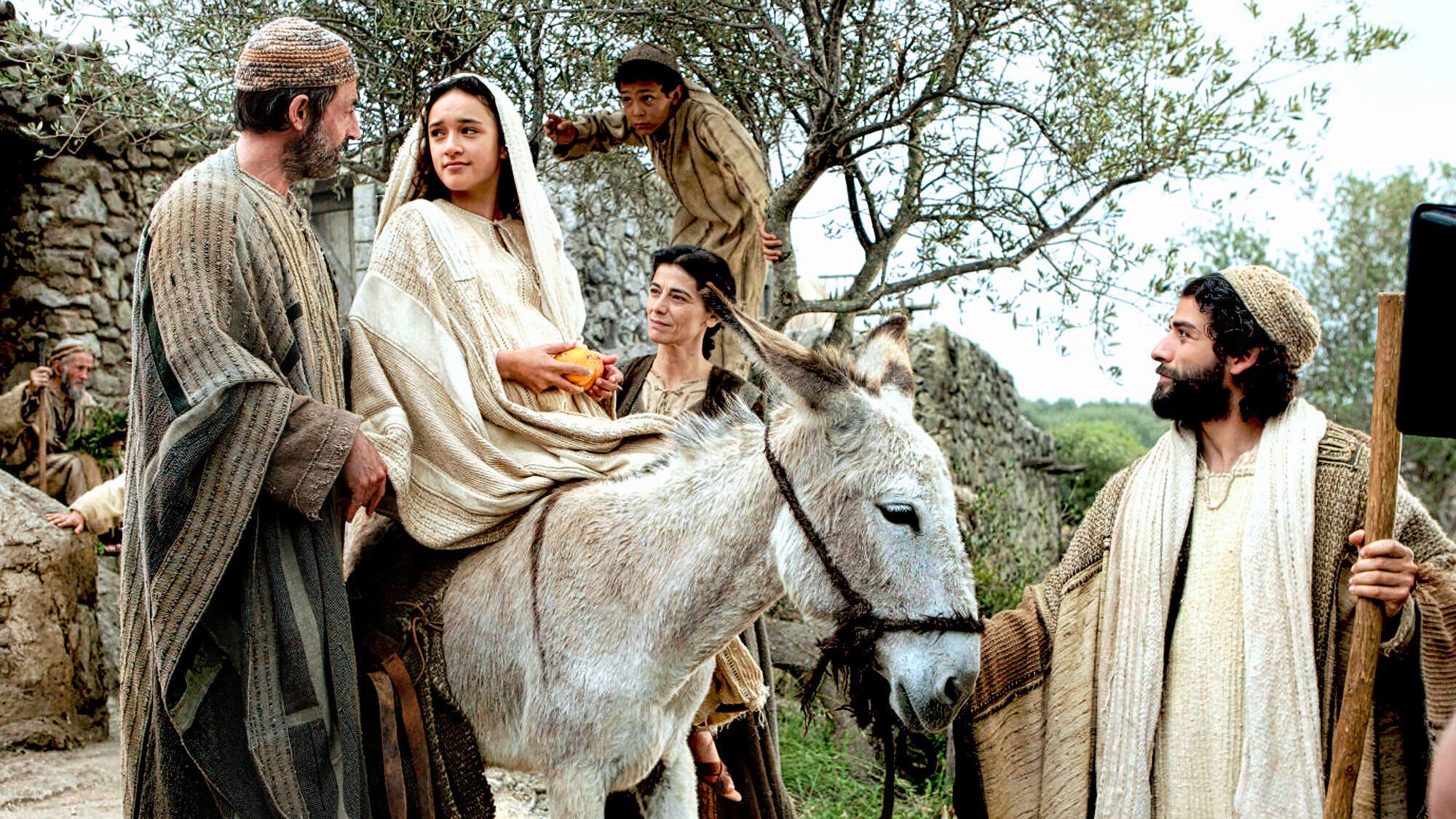 Lourdes 2025 (1/5) Discover Marie through her prayer