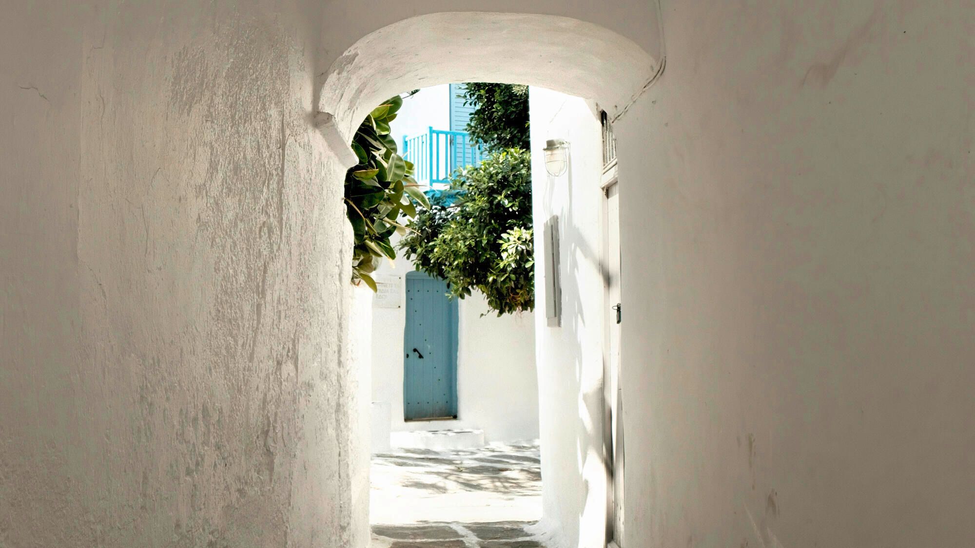 The Gospel of the August 24 Mass