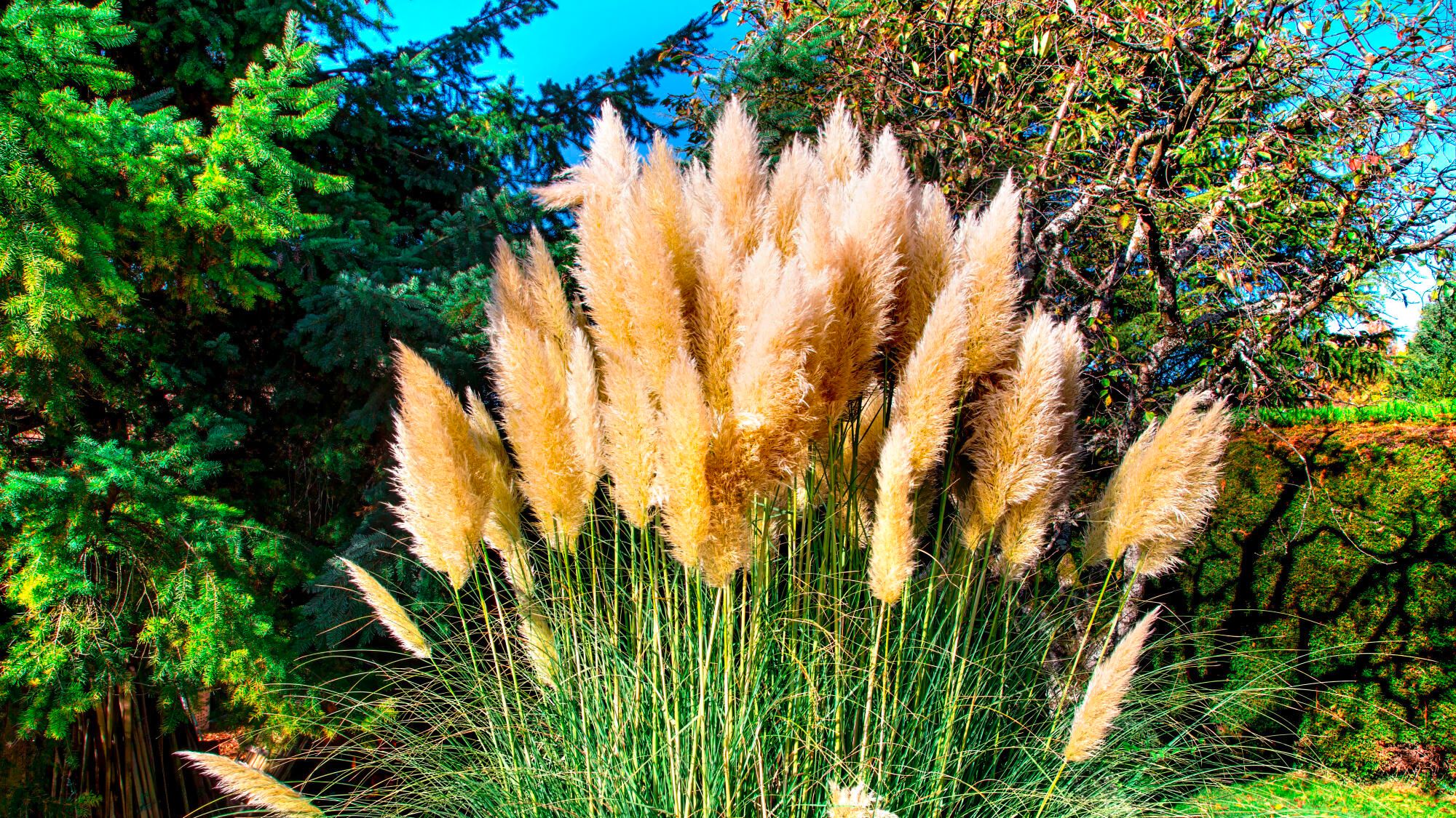 4 gestures to act concretely