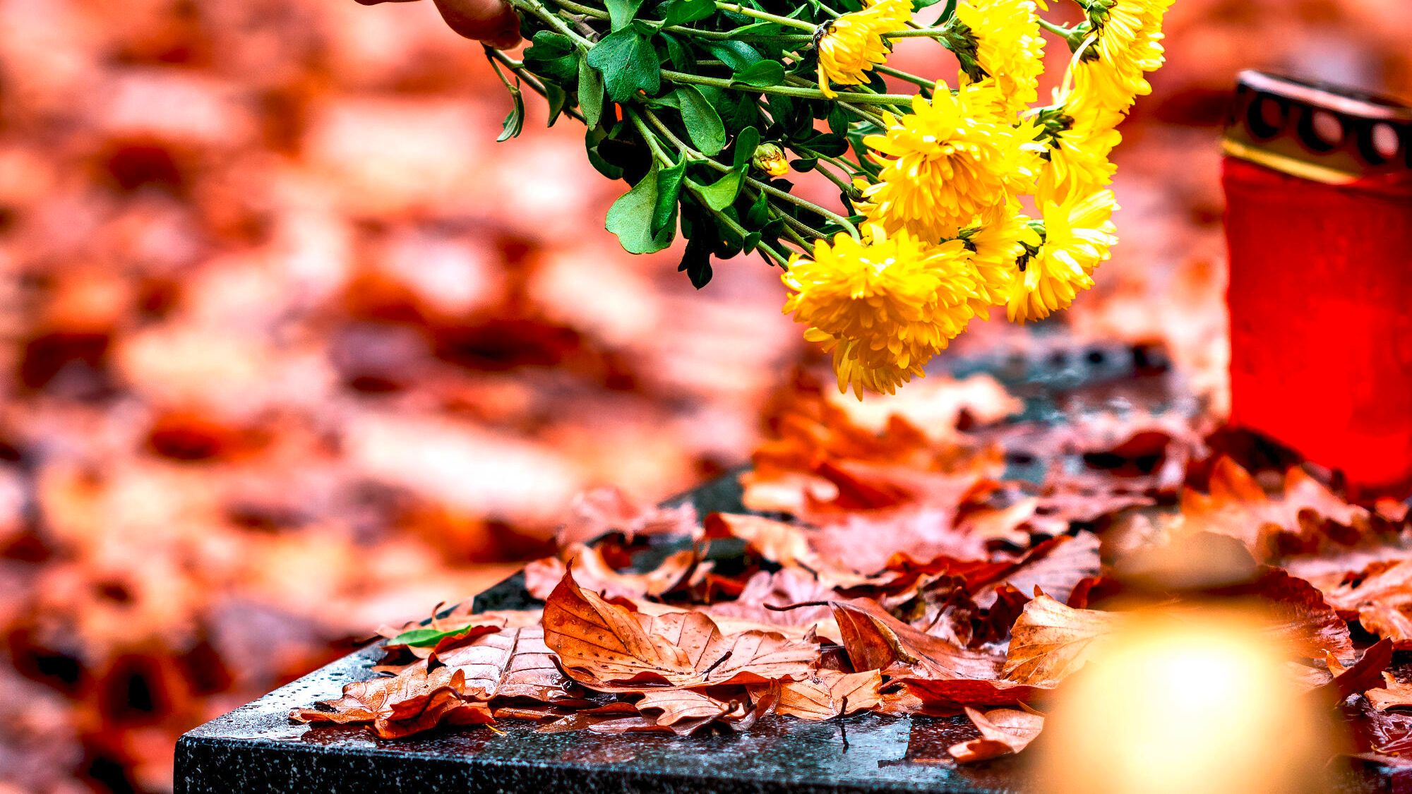 The Gospel of Masses for the All Saints' Day Weekend 2025