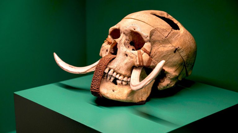 “Museums have a democratic role to play”