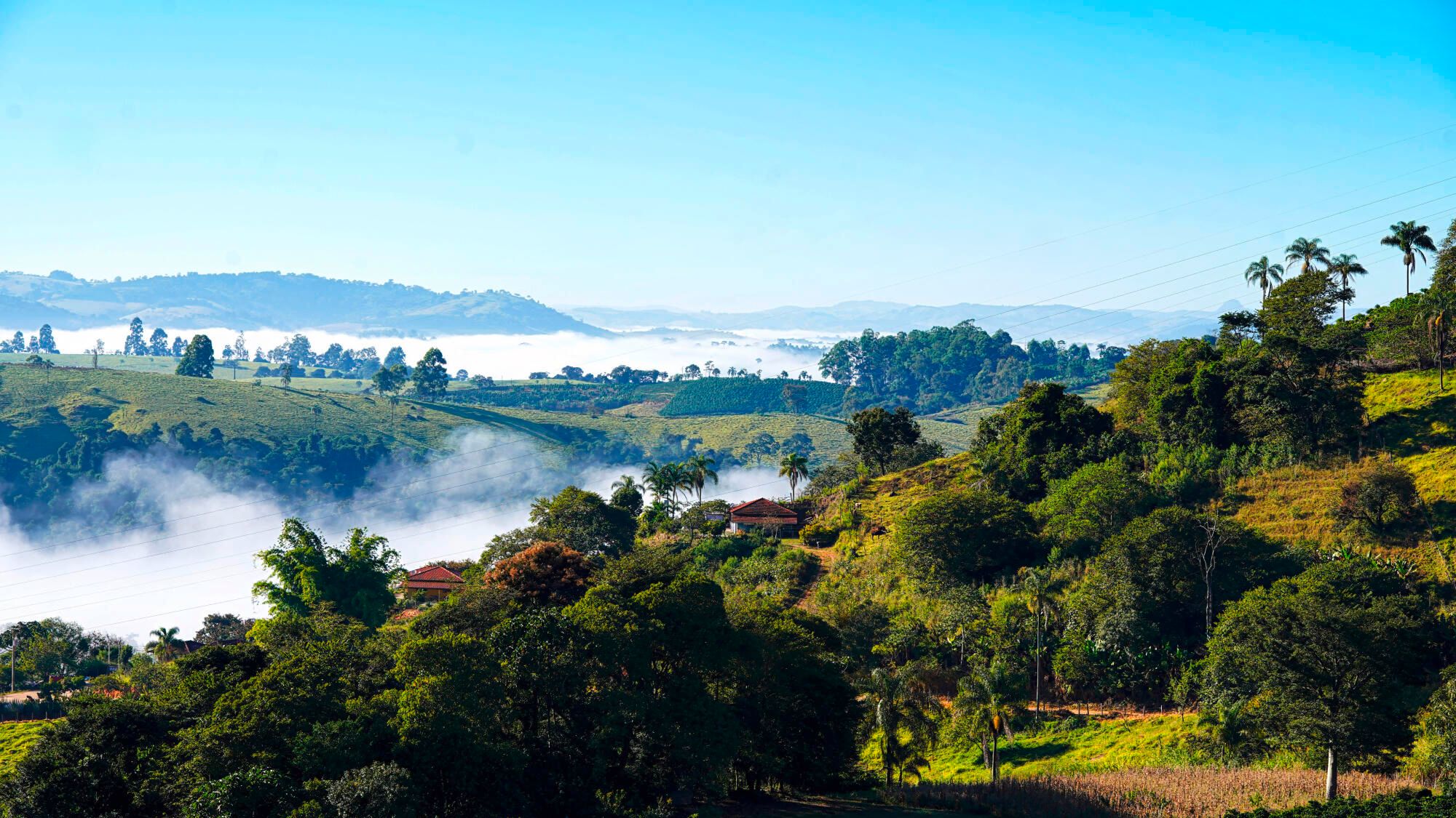 story of a world tour to meet its producers