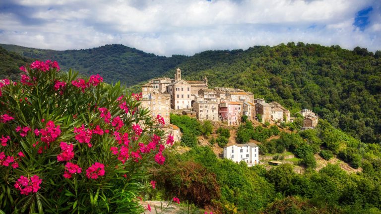 Which municipality will you vote for?