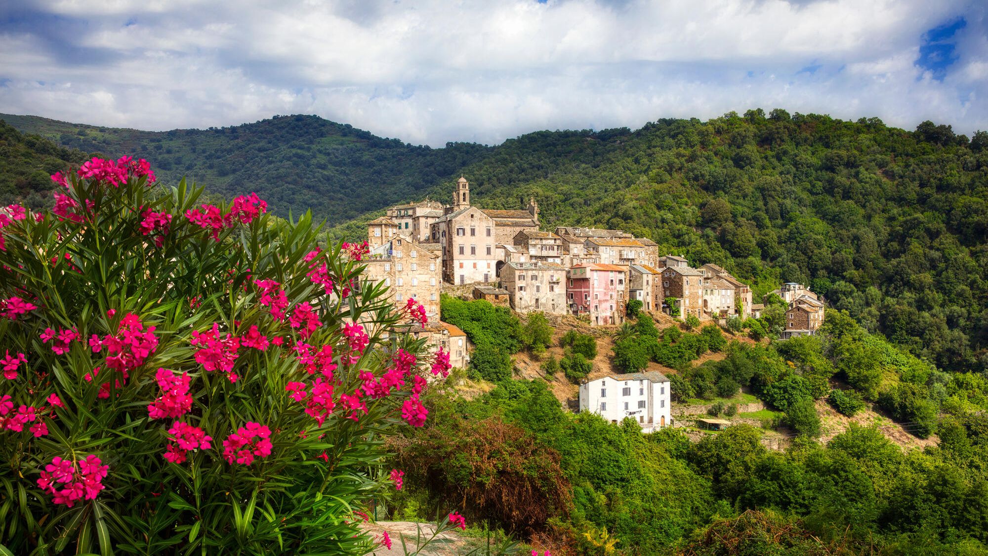 Which municipality will you vote for?