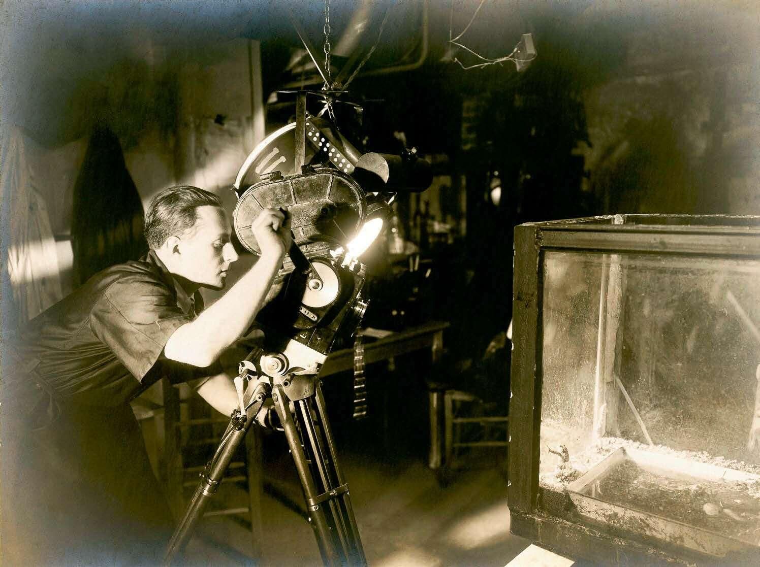 In Finistère, an exhibition on the little-known Jean Painlevé, a filmmaker in the service of science