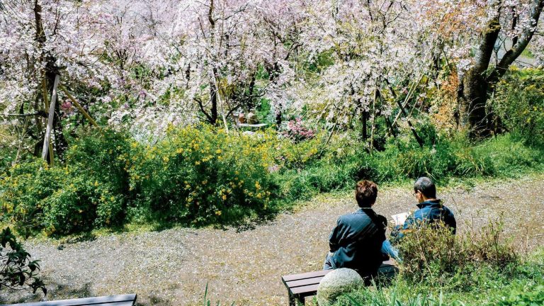 Our selection of 7 books to head towards Easter 2026