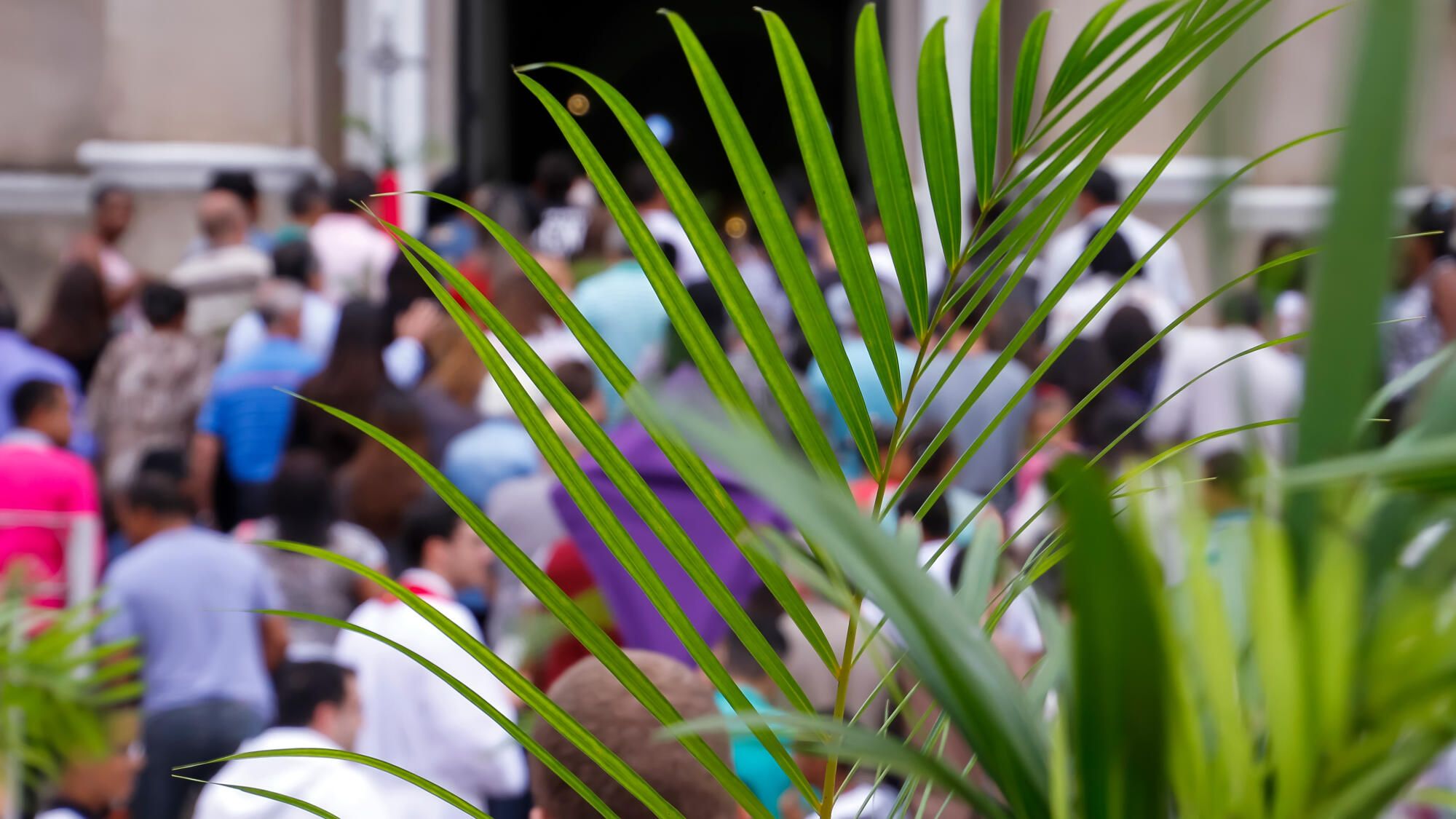 Palm Sunday: origin, meaning and traditions