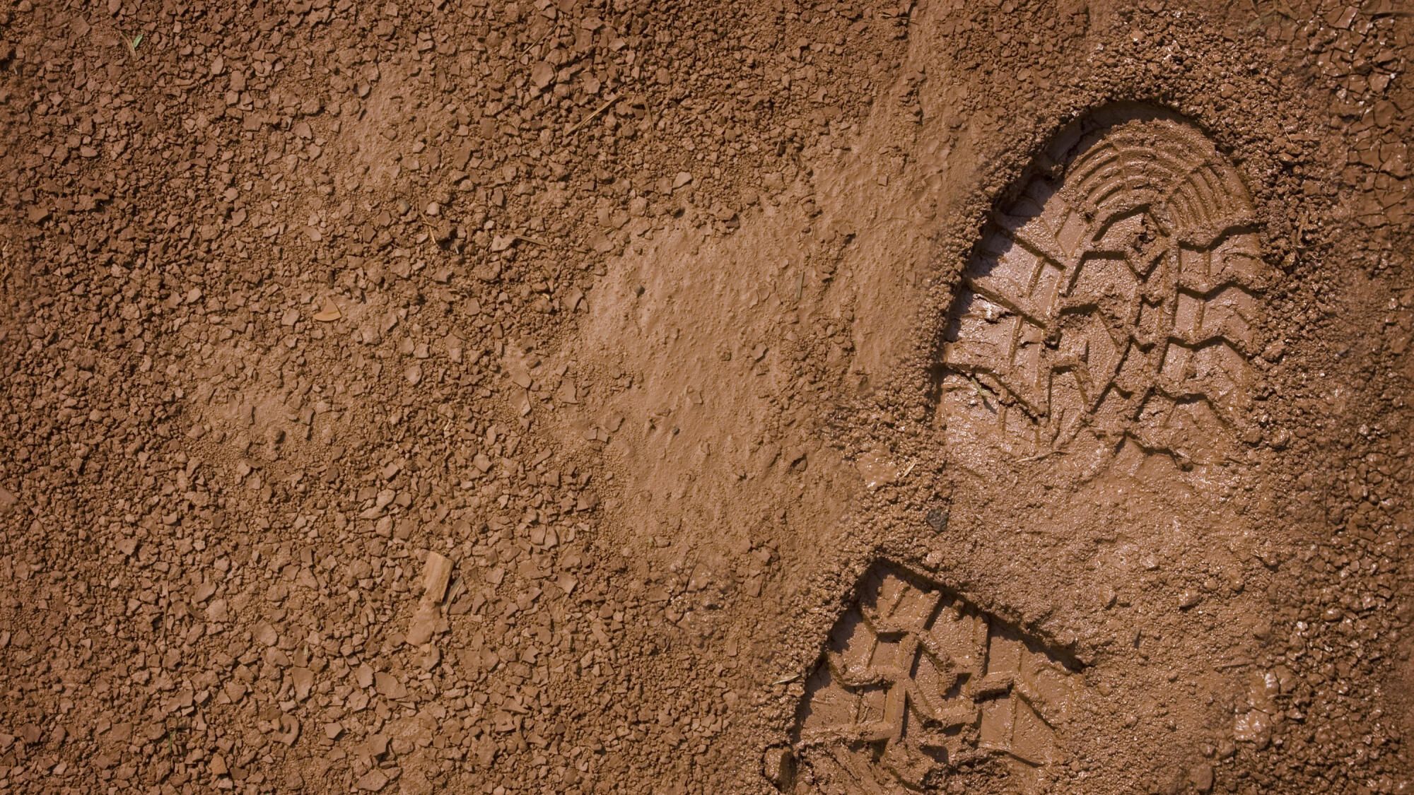 Understand everything about calculating the ecological footprint