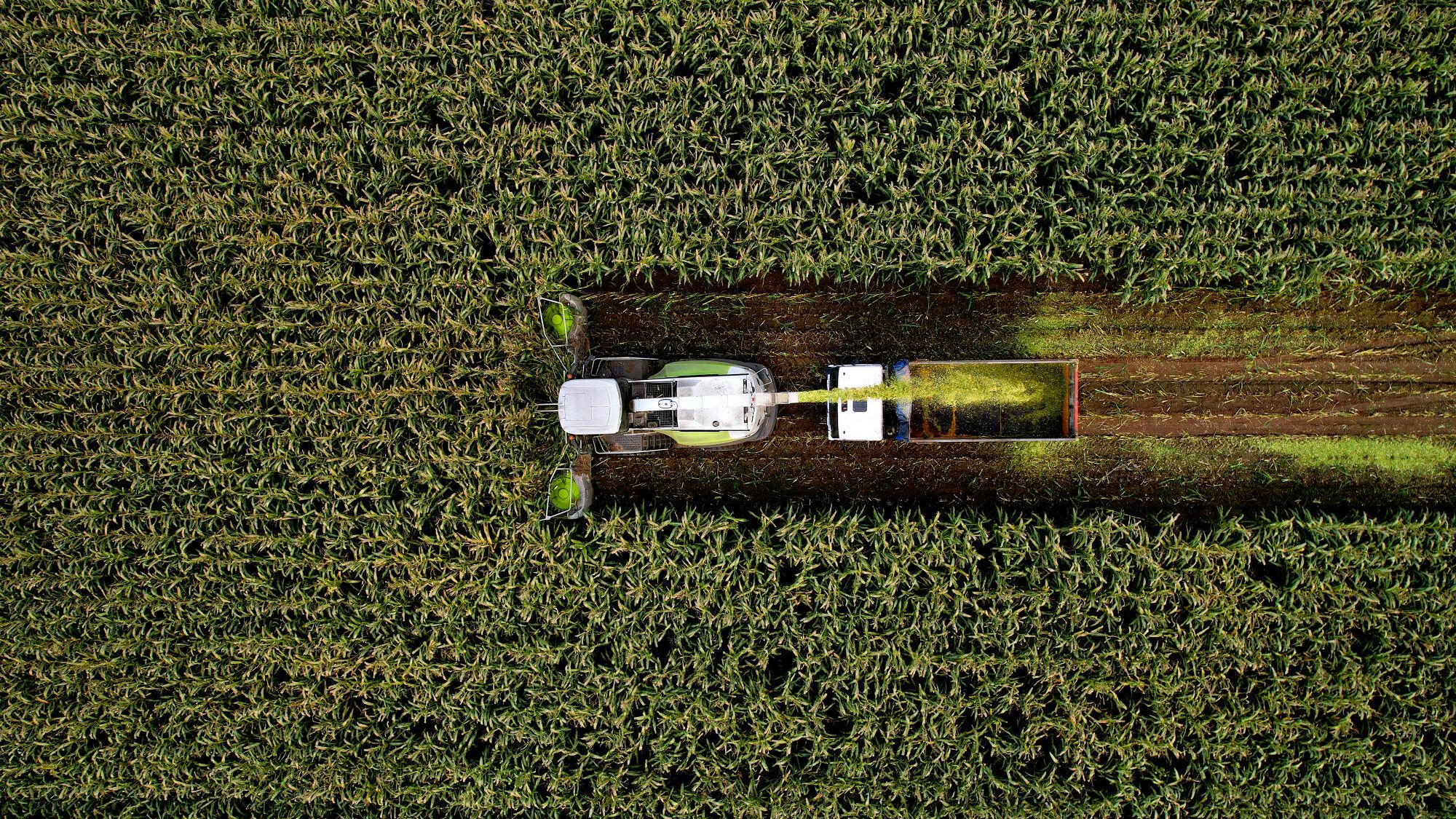 everything you need to know about forage silage