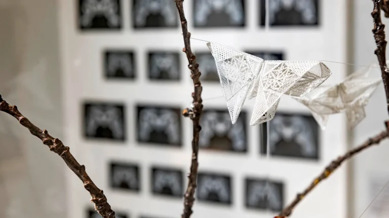 50 years of national lace workshops in Alençon