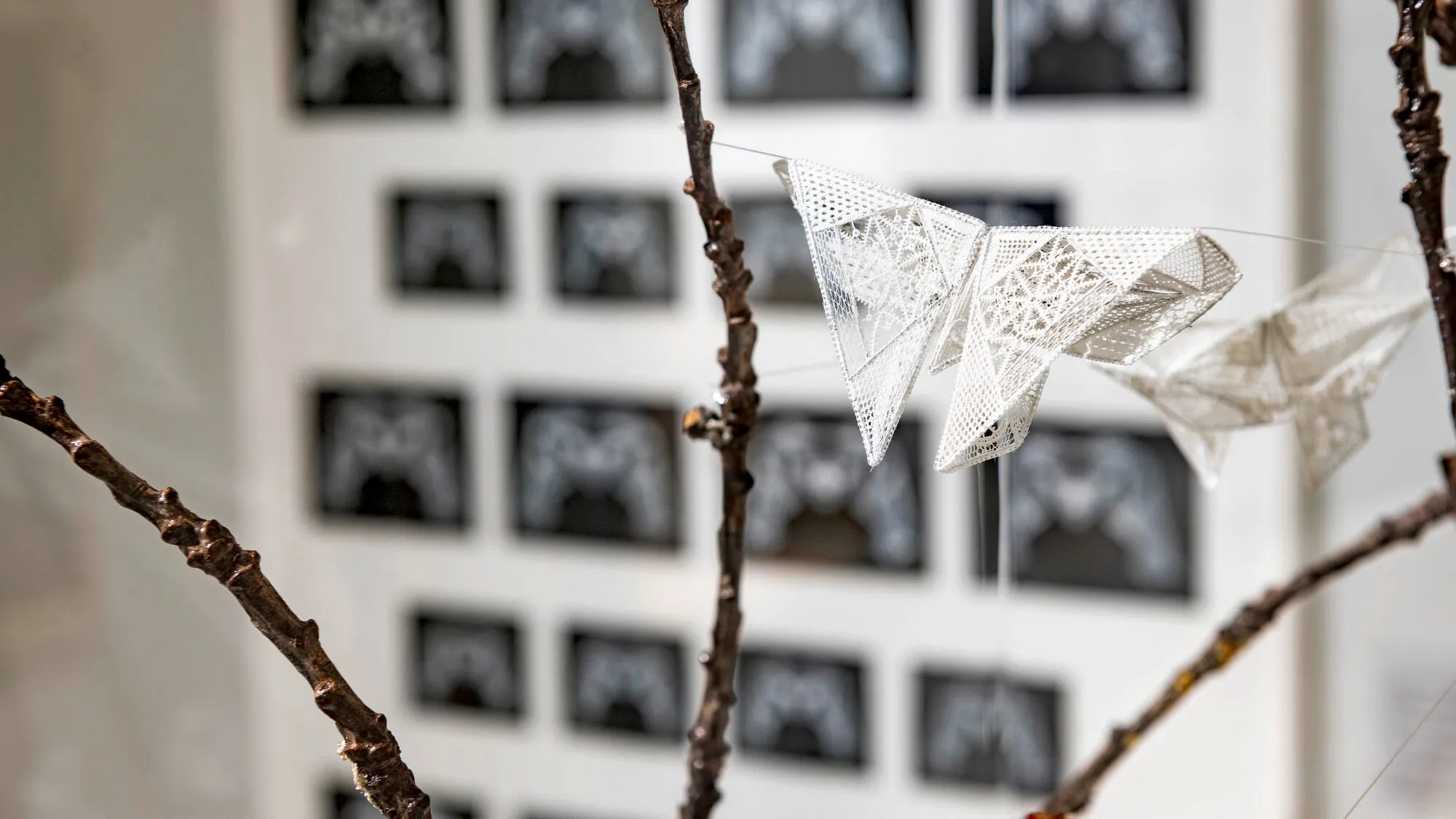 50 years of national lace workshops in Alençon