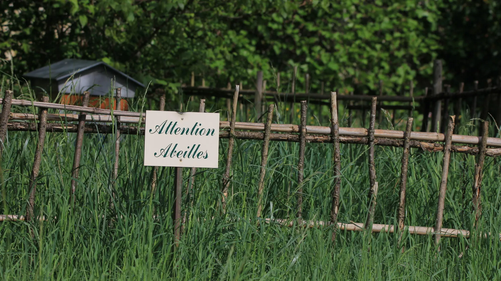 8 dates to understand this pesticide