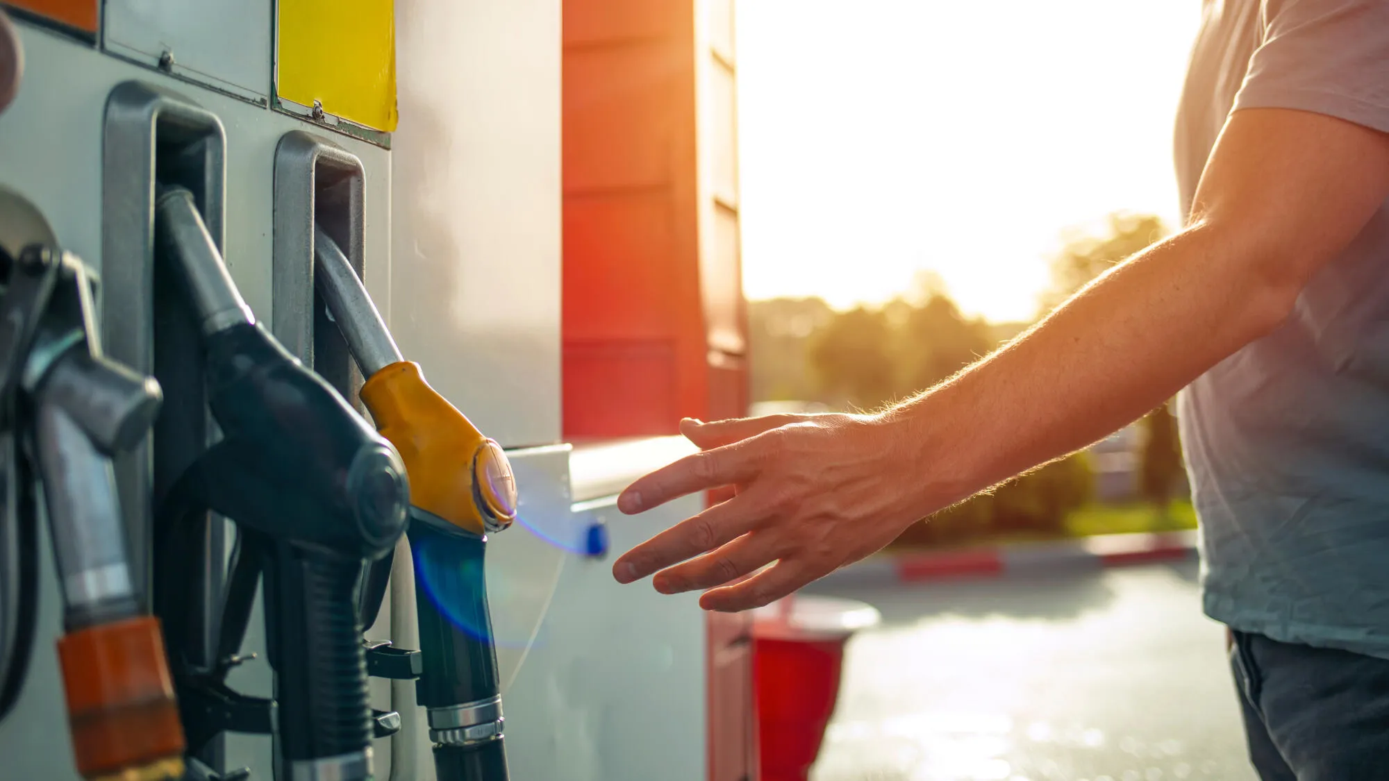 Can we really do without oil?