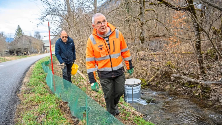 In Savoie, monks and children to save the toads
