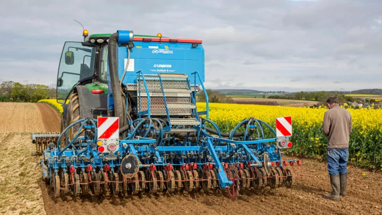 When and how to plant seeds successfully in spring?