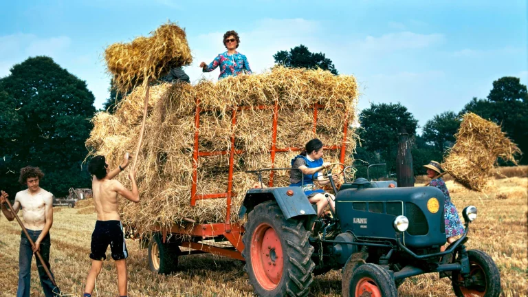 a Breton village of 500 inhabitants comes back to life