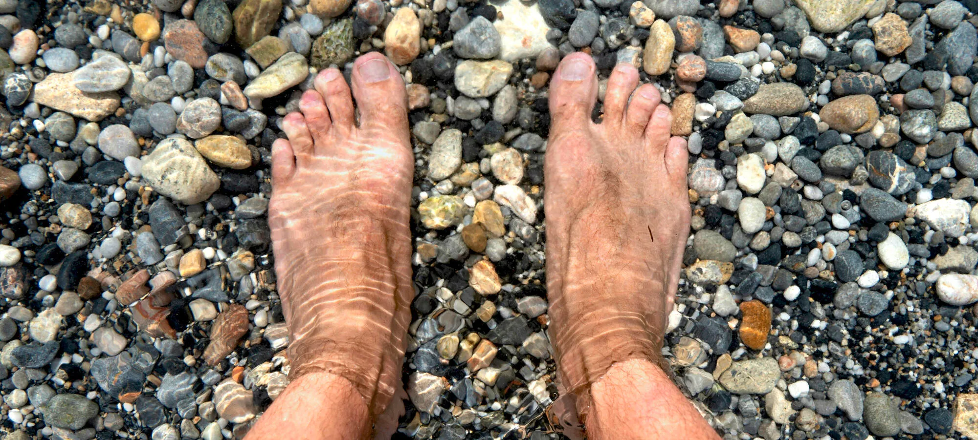 the gospel of the mass of April 2, 2026