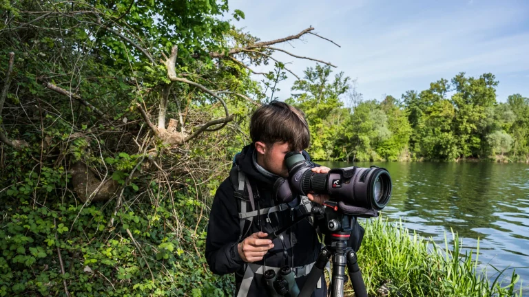 who are the hunters, in search of the rare bird?
