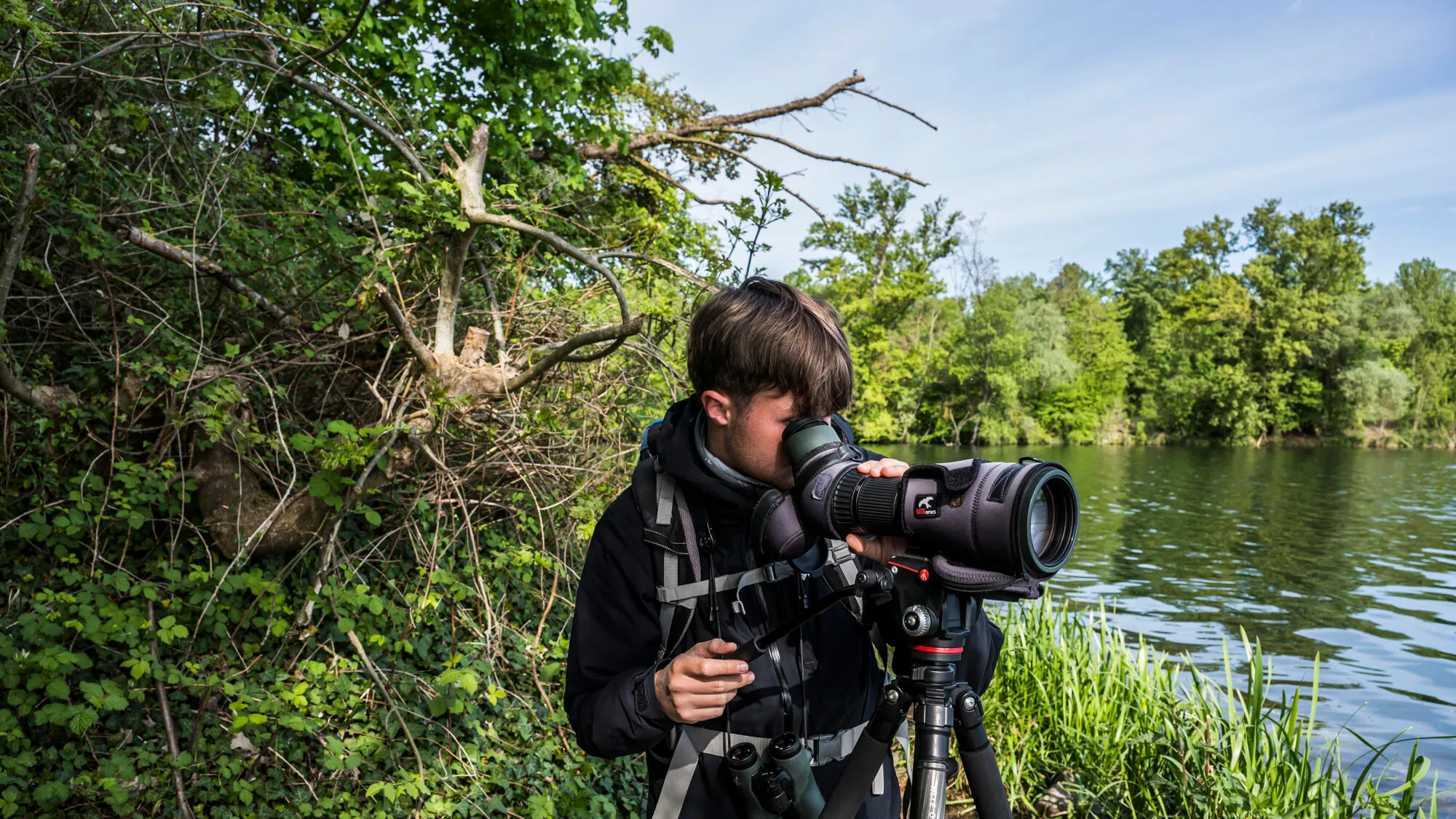 who are the hunters, in search of the rare bird?