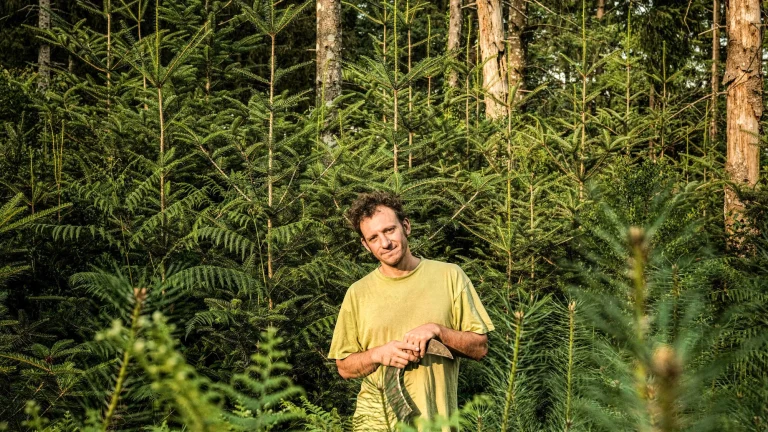 Mathias Bonneau: “I saw the forest capable of resisting”
