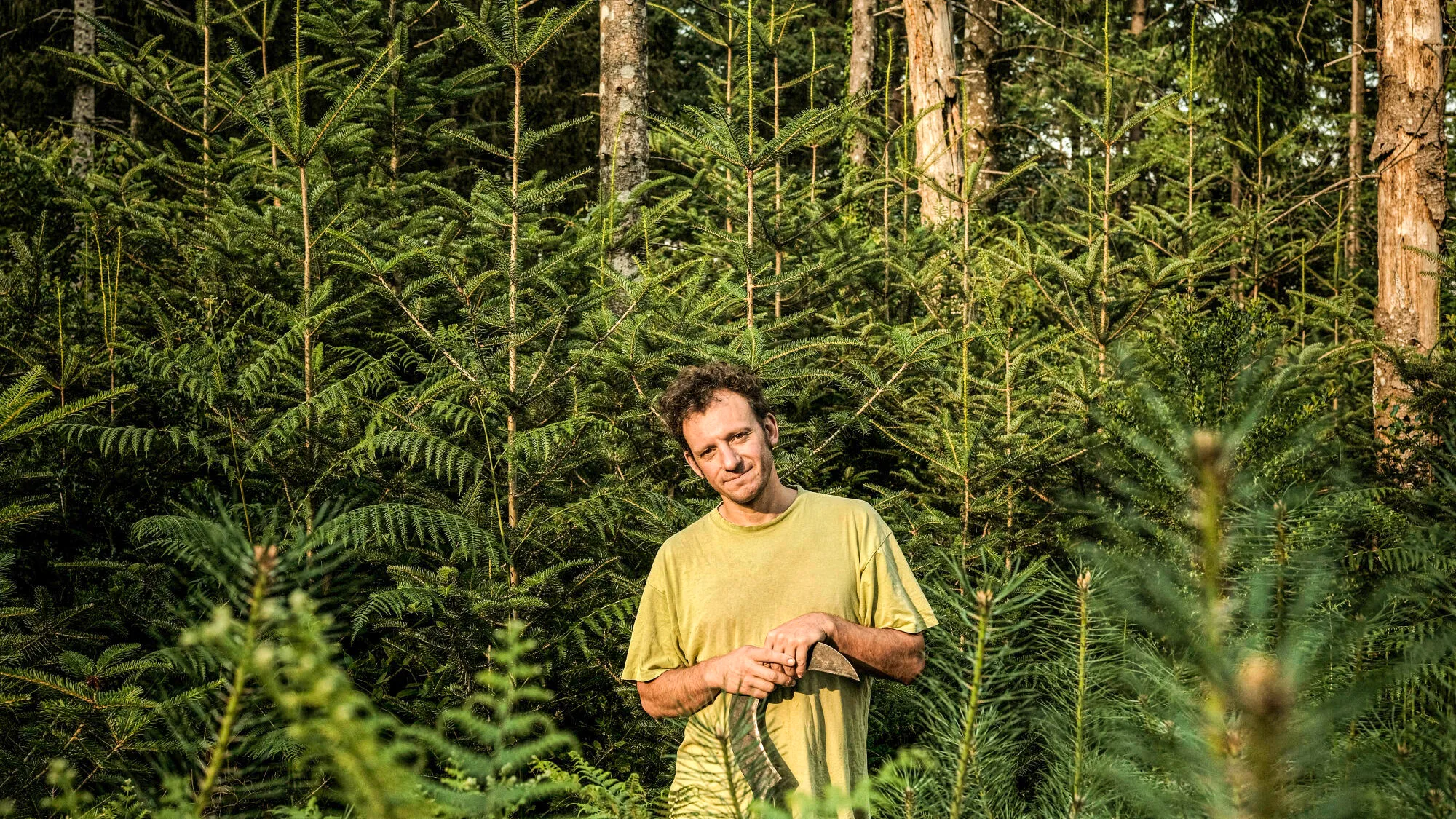 Mathias Bonneau: “I saw the forest capable of resisting”