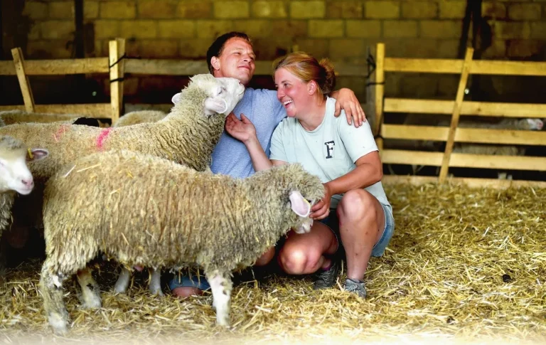 Finance, build relationships... These new players who support the establishment of young farmers
