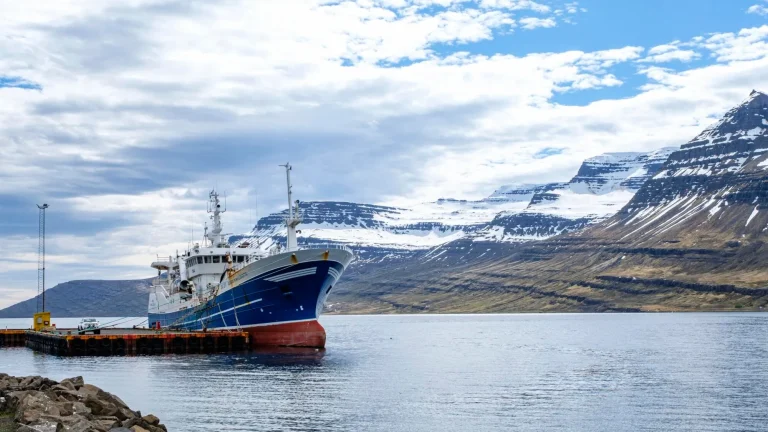 Iceland, the temptation of the European Union?
