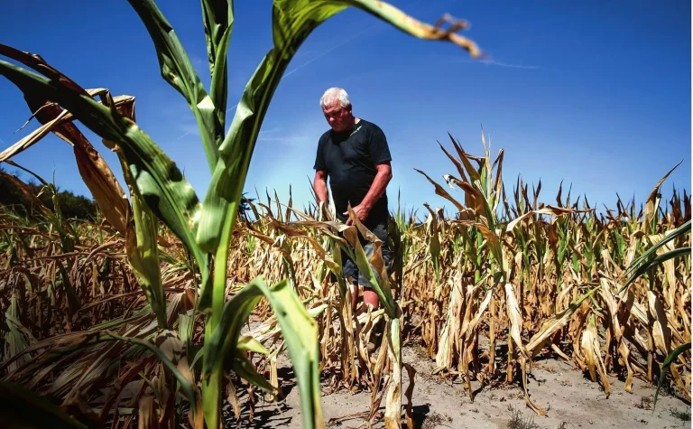 Summer 2026: what solutions for French agriculture?
